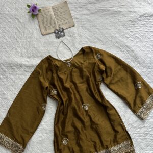 Sequence Corset Back Chatpati kurti