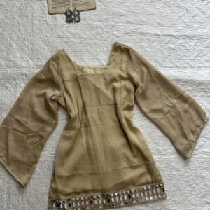 Crush Fabric Mirror Corset Back Chatpati kurti