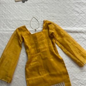 Banarasi Mirror Work Corset  Back kurti