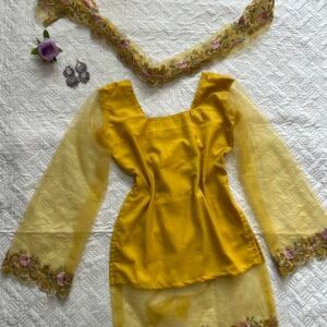 Soft Organza Embroidered Kurti with Choker Duppata