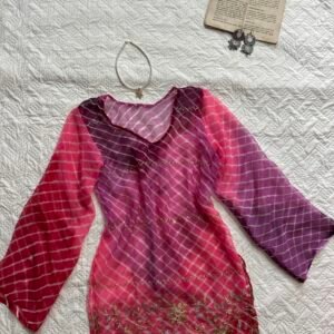 Sheer Zari Thread Embroidered Corset Back Y2K Kurti