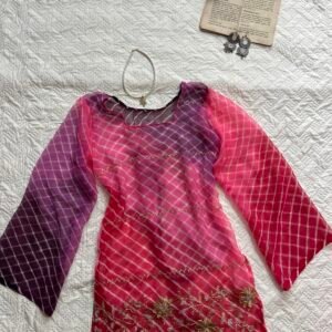 Sheer Zari Thread Embroidered Corset Back Y2K Kurti