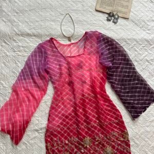 Sheer Zari Thread Embroidered Corset Back Y2K Kurti