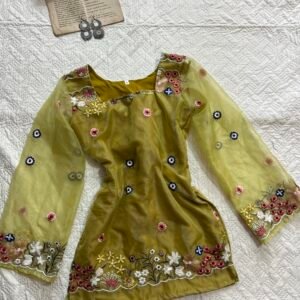Baggecha Viral Embroidered Chatpati Kurti