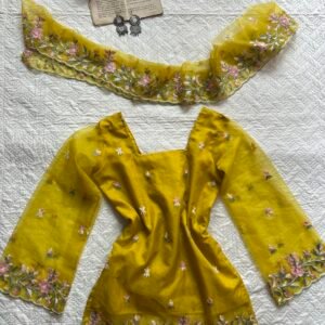 Embroidered Corset Back Chatpati Kurti