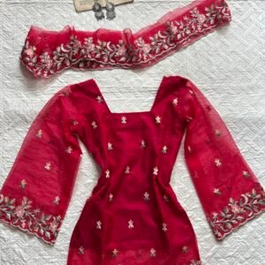 Embroidered Corset Back Chatpati Kurti