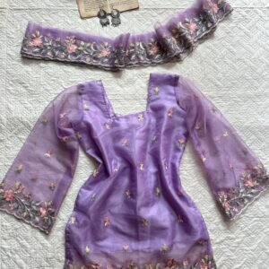 Embroidered Corset Back Chatpati Kurti