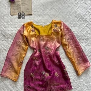 Ombre Handworked Chatpati Short Kurti
