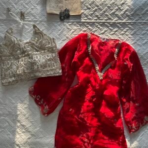 SURROR~Sheer Chatpati Kurti with Blouse Set in Red